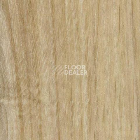 Кварцвиниловые полы Forbo Effekta Professional 0.45 4113 P Honey Authentic Oak PRO фото 1 | FLOORDEALER